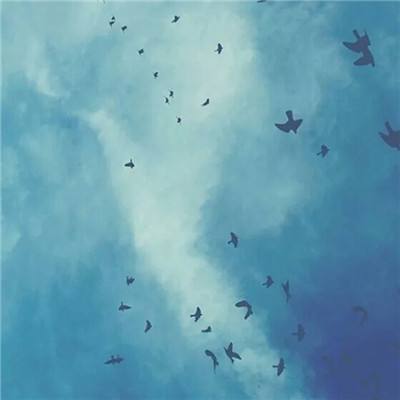 开开棋牌下载手机版截图